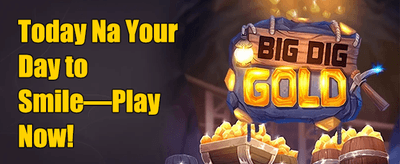 VIP Loyalty Reward promotion
